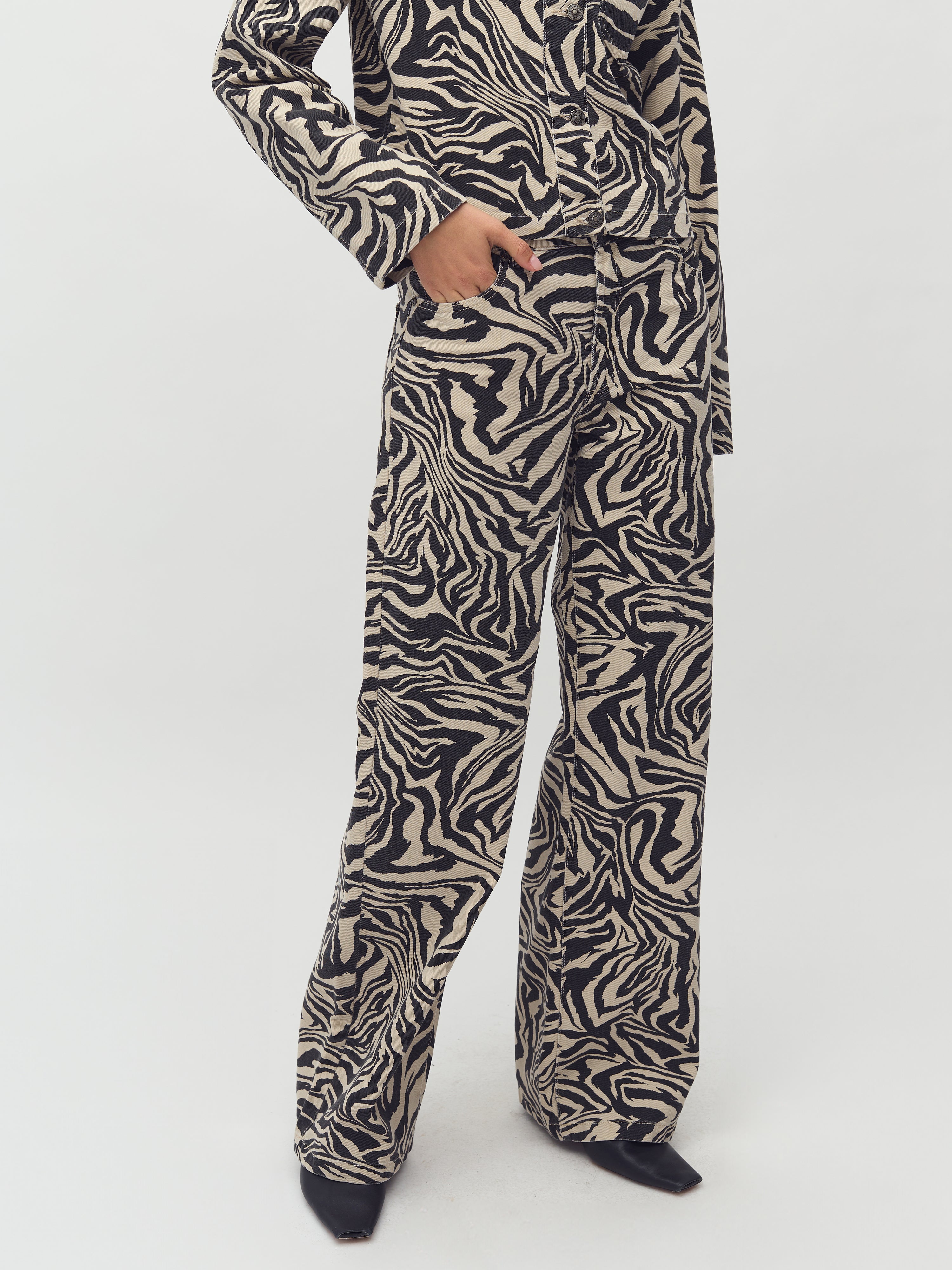 Pyras-M_Zebriana Print_Model_