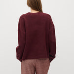 Sionan-M_Fig_Model_2