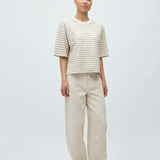 Emrys-M_Island Fossil Sugar Stripe_Model_0