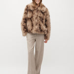 Corvia-M_Brown Shadow_Model_0