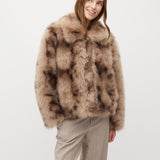 Corvia-M_Brown Shadow_Model_1