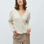 Asato-M_Sugar Melange_Model_1