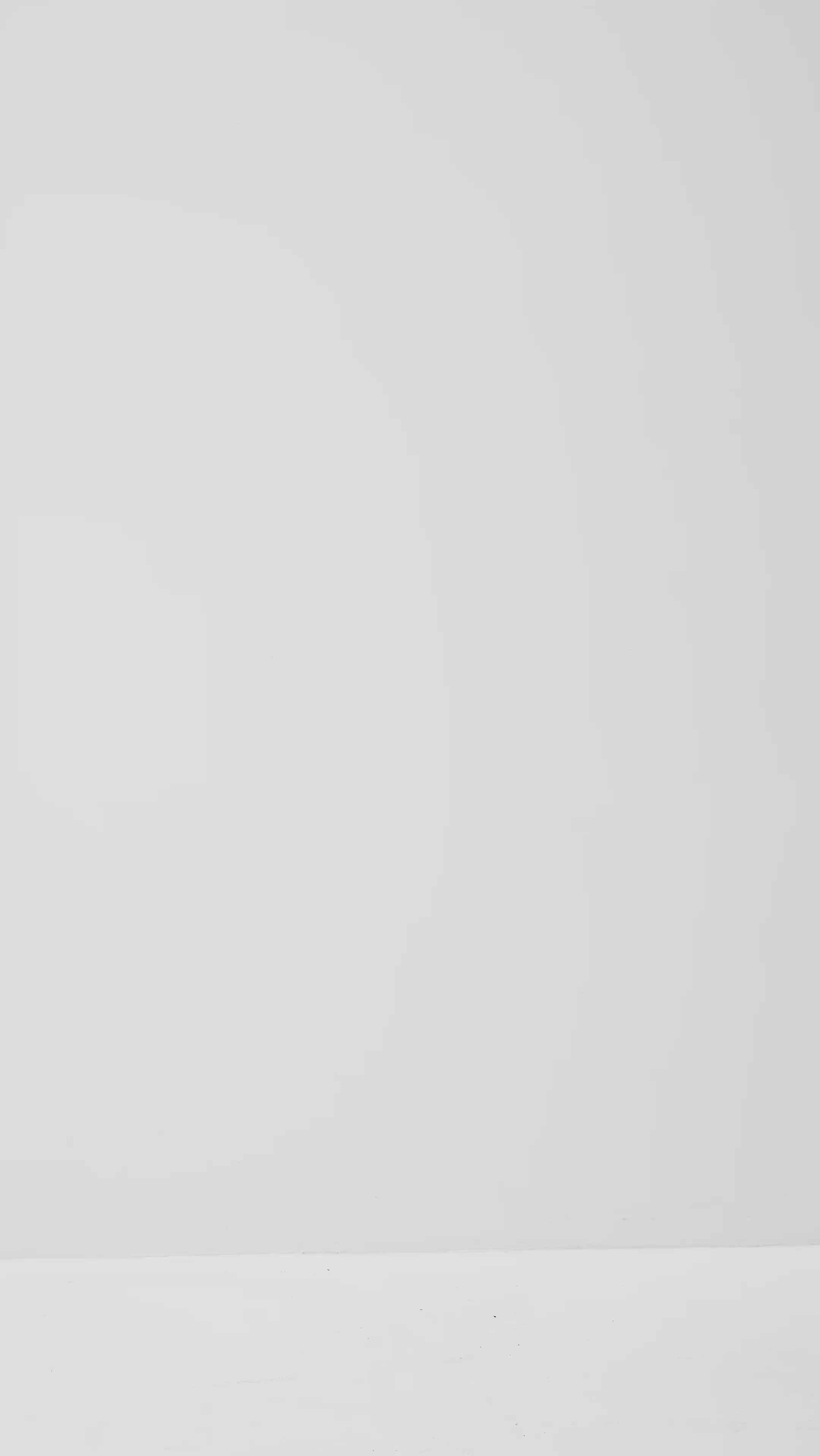 Lucy-M_Medium Melange_Video_5