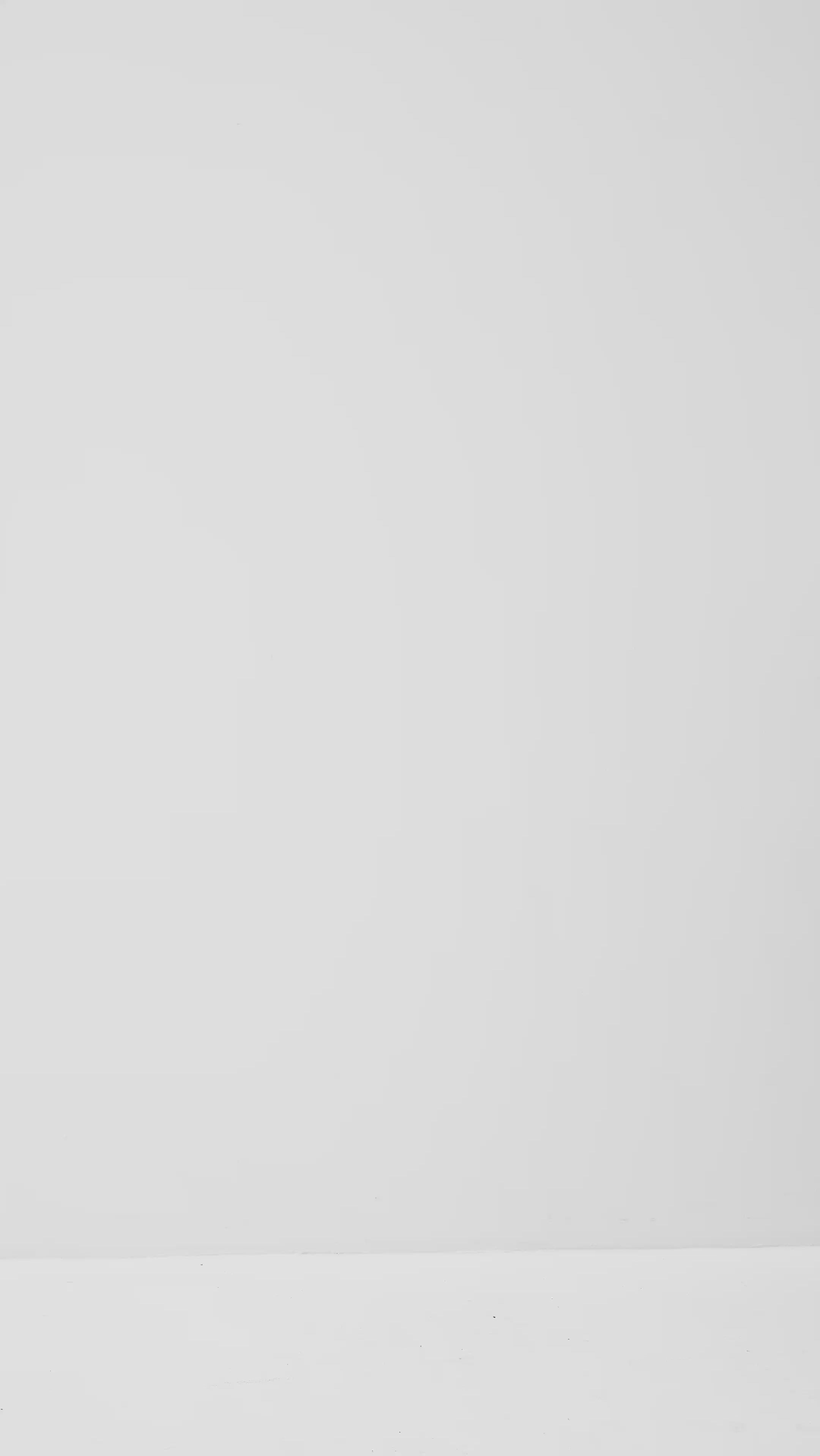 Maiianne-M_Black_Video_