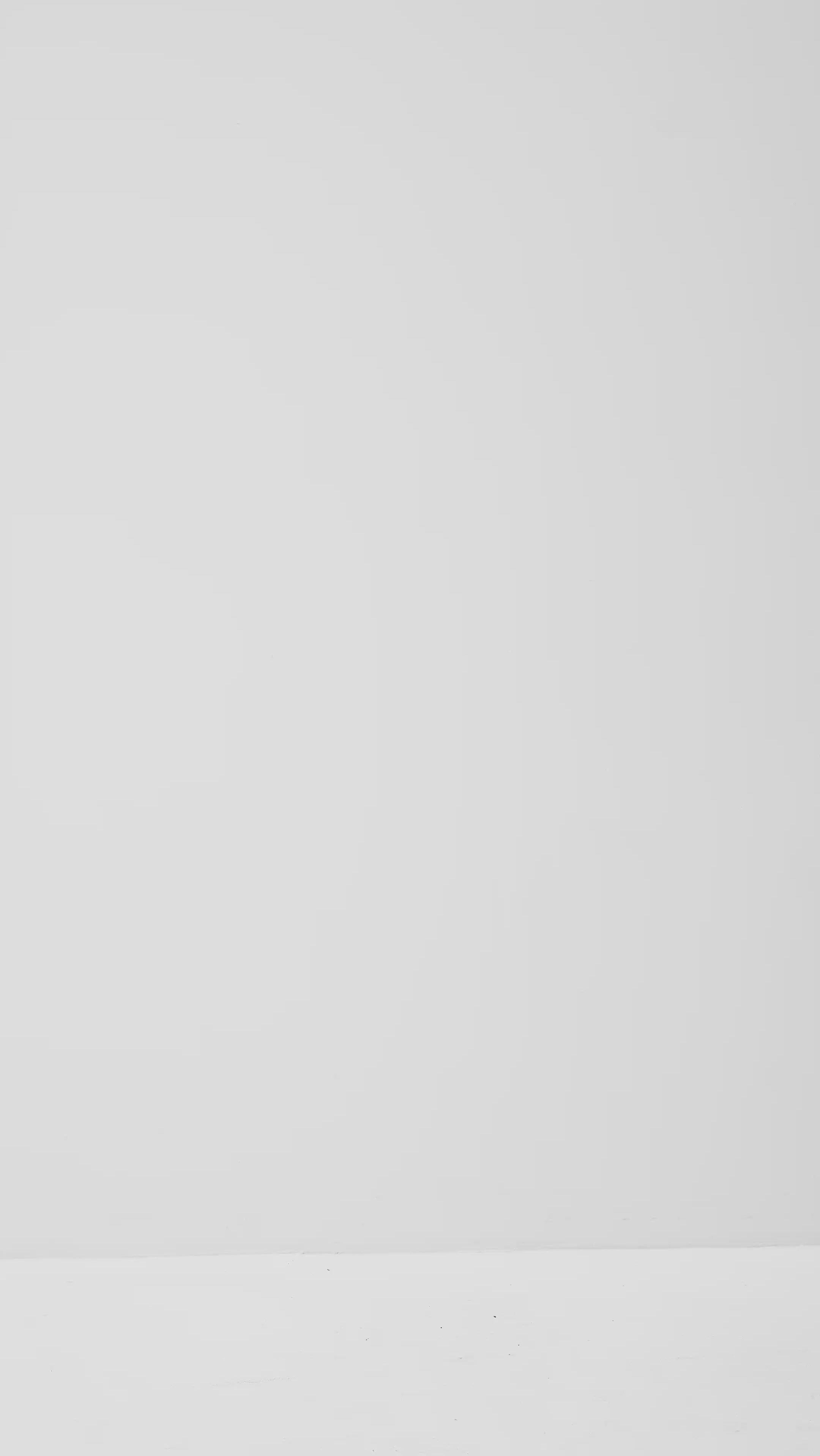 Lucy-M_Medium Melange_Video_4