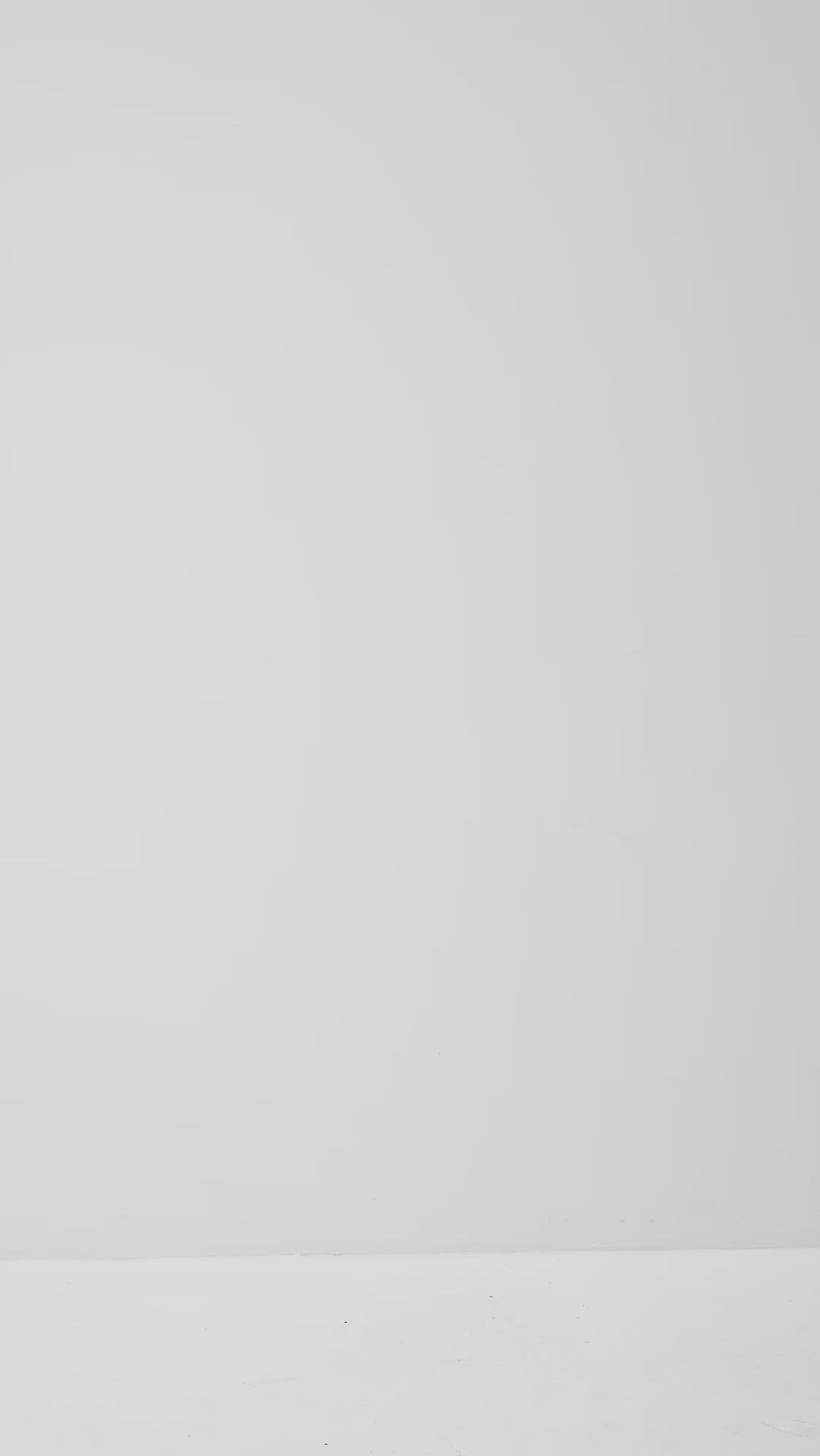 Lucy-M_Medium Melange_Video_